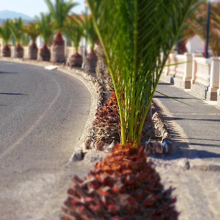 卡斯蒂约海滩洋房酒店 科斯塔卡莱塔